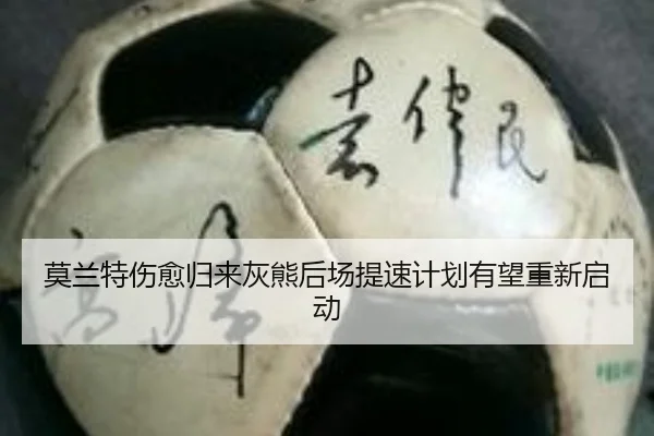 莫兰特伤愈归来灰熊后场提速计划有望重新启动