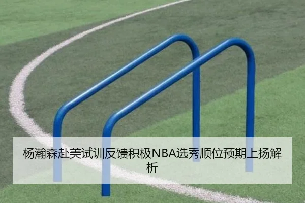 杨瀚森赴美试训反馈积极NBA选秀顺位预期上扬解析